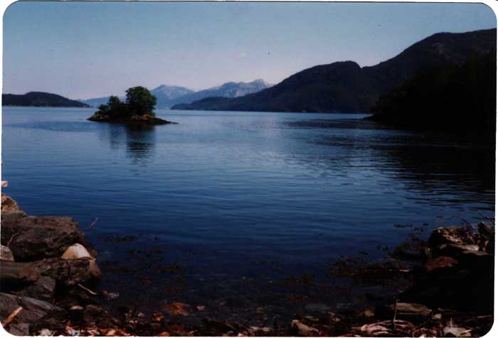 Utsikt innover Hardangerfjorden frå Gravdal